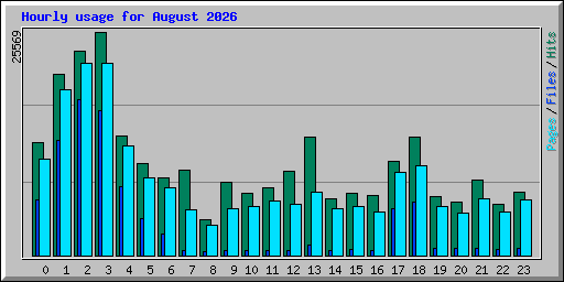 Hourly usage for August 2026